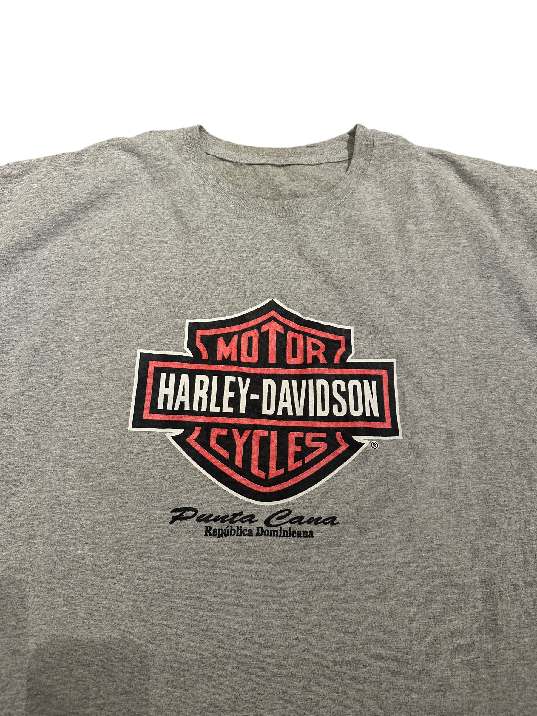 Vintage Harley t-shirt 2XL
